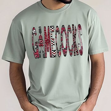 Gamecocks-Team-Letters