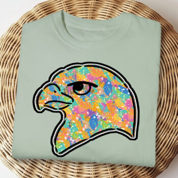 FalconRainbow