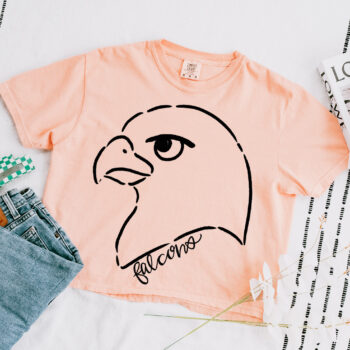Handdrawn Falcons