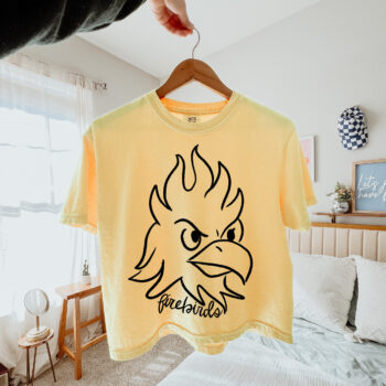 Handdrawn Firebirds